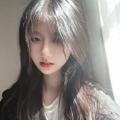 羊与钢的森林